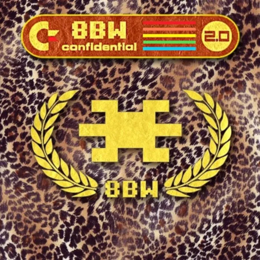 Confidential 2.0 cover art